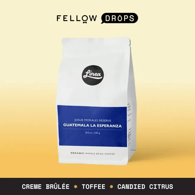 fellow-guatemala-la-esperanza-caf-bourbon-lav-agriculture-biologique-r-g-n-rativ image 1