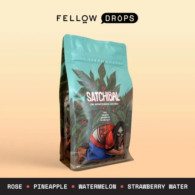 fellow-satchibal-caf-en-grains-lav-huehuetenango-guatemala-caturra-bourbon-torr- image 1