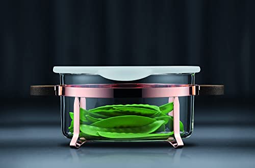 bodum-chambord-k4906-143-plat-four-en-verre-borosilicate-23-3-x-23-3-x-12-cm-ave image 8