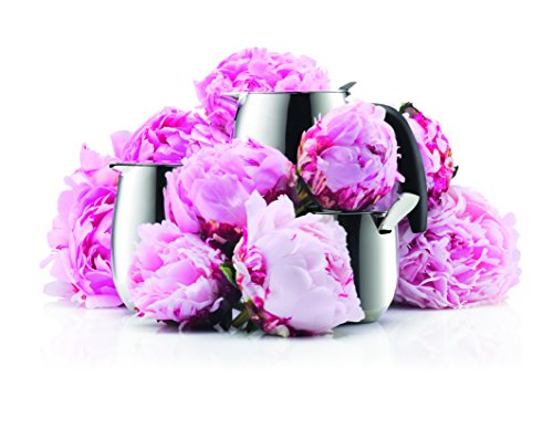 bodum-columbia-10913-16-pichet-lait-0-7-l-en-acier-inoxydable-brillant image 6