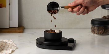 fellow-tally-pro-precision-scale-balance-de-pr-cision-caf-studio-edition-mode-br image 7